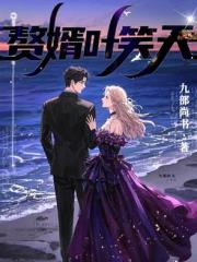 赘婿叶笑天