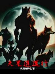 天星逍遥行
