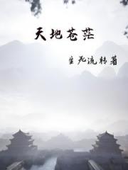 天地苍茫：天之高兮