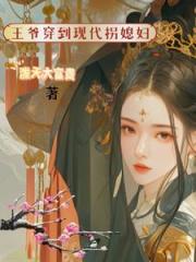 我的异世老公是王爷