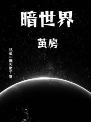 暗世界：茧房
